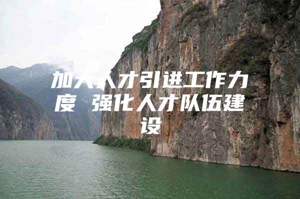 加大人才引进工作力度 强化人才队伍建设