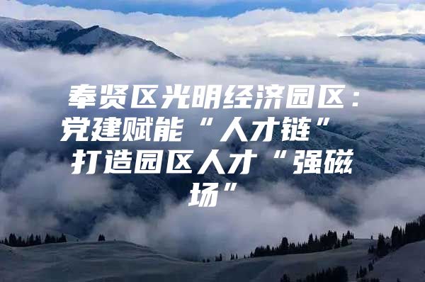 奉贤区光明经济园区：党建赋能“人才链” 打造园区人才“强磁场”
