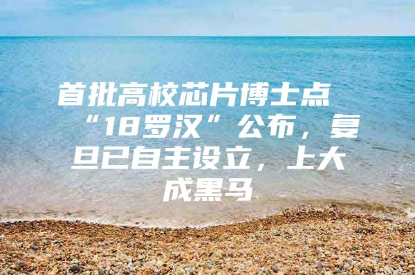 首批高校芯片博士点“18罗汉”公布，复旦已自主设立，上大成黑马
