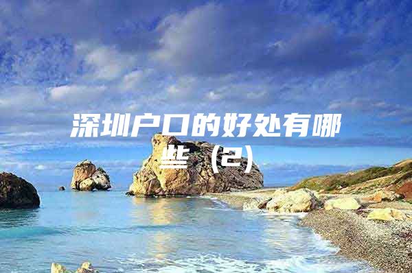 深圳户口的好处有哪些 (2)