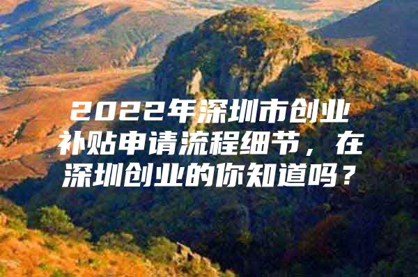 2022年深圳市创业补贴申请流程细节，在深圳创业的你知道吗？