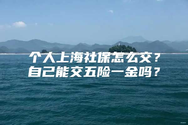 个人上海社保怎么交？自己能交五险一金吗？