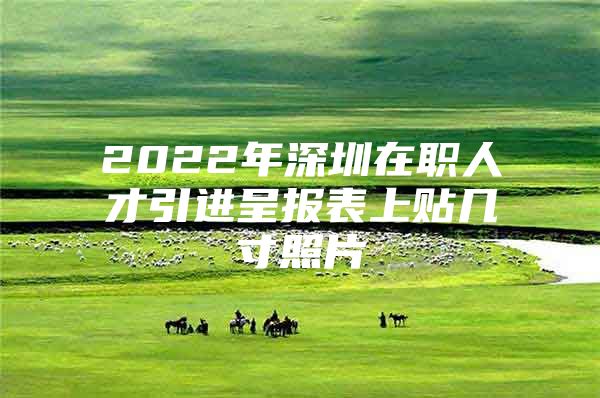 2022年深圳在职人才引进呈报表上贴几寸照片