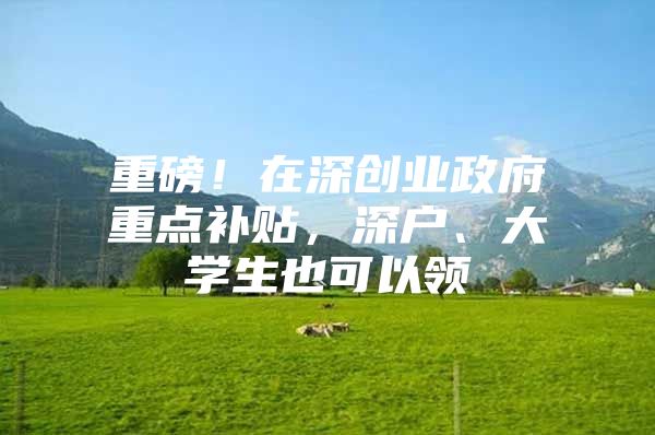 重磅！在深创业政府重点补贴，深户、大学生也可以领