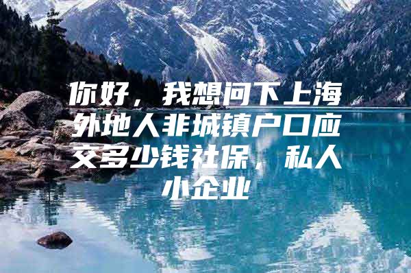 你好，我想问下上海外地人非城镇户口应交多少钱社保，私人小企业