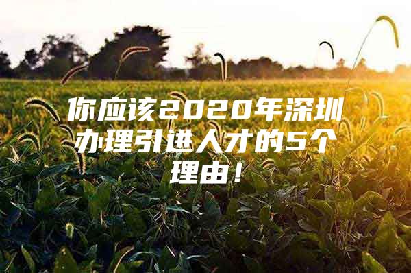 你应该2020年深圳办理引进人才的5个理由！