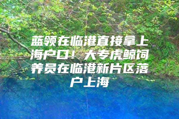 蓝领在临港直接拿上海户口！大专虎鲸饲养员在临港新片区落户上海
