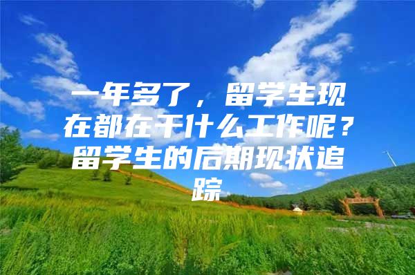 一年多了，留学生现在都在干什么工作呢？留学生的后期现状追踪