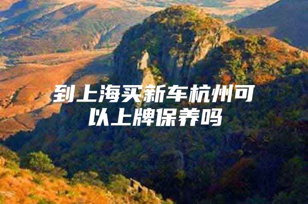 到上海买新车杭州可以上牌保养吗