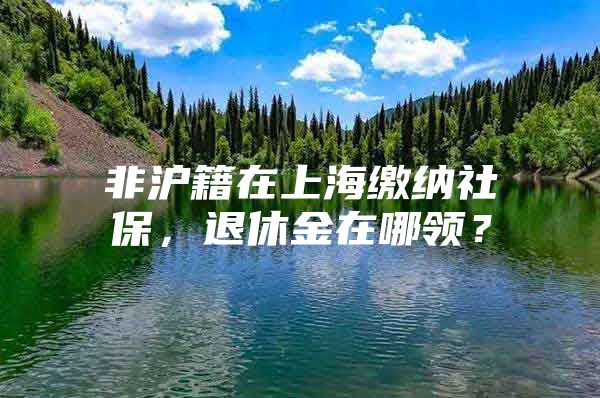 非沪籍在上海缴纳社保，退休金在哪领？