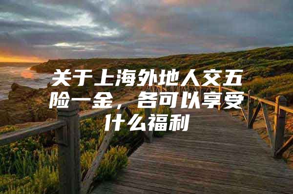 关于上海外地人交五险一金，各可以享受什么福利