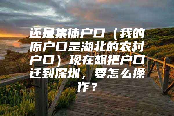 还是集体户口（我的原户口是湖北的农村户口）现在想把户口迁到深圳，要怎么操作？
