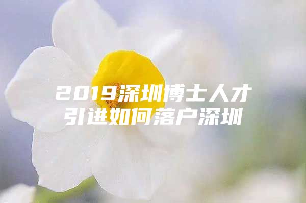 2019深圳博士人才引进如何落户深圳