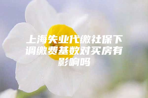 上海失业代缴社保下调缴费基数对买房有影响吗