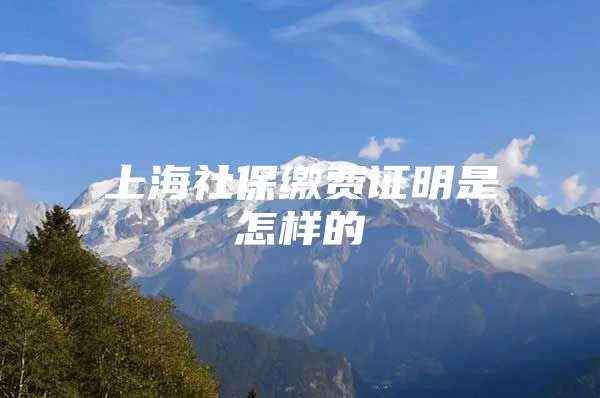 上海社保缴费证明是怎样的
