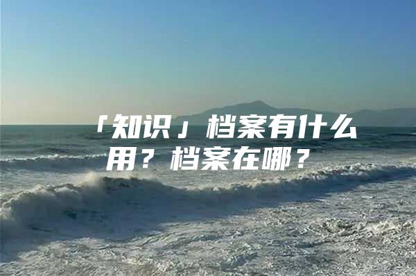 「知识」档案有什么用？档案在哪？