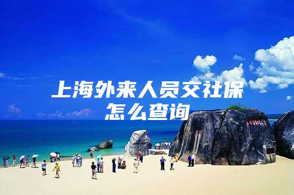 上海外来人员交社保怎么查询