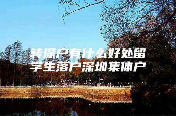 转深户有什么好处留学生落户深圳集体户