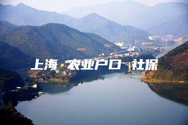 上海 农业户口 社保