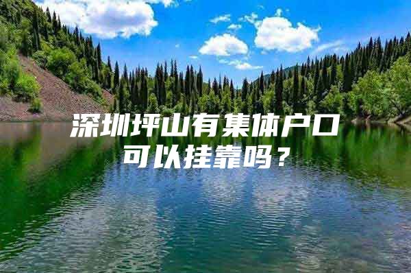 深圳坪山有集体户口可以挂靠吗？