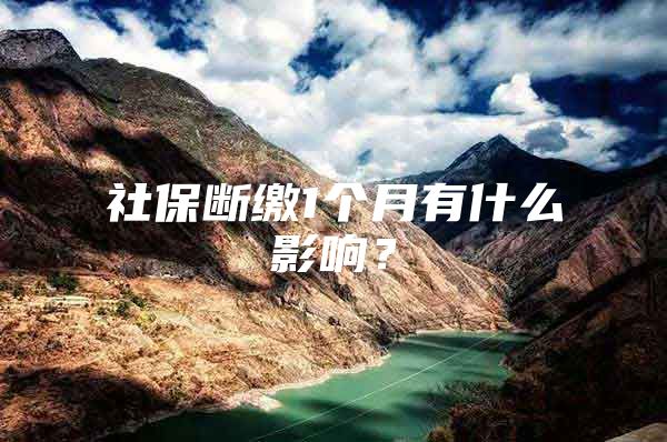 社保断缴1个月有什么影响？