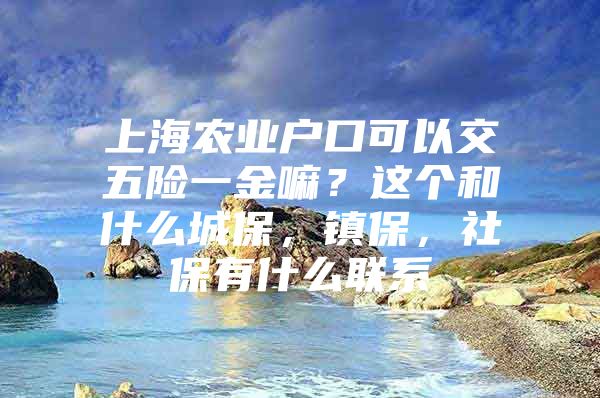 上海农业户口可以交五险一金嘛？这个和什么城保，镇保，社保有什么联系