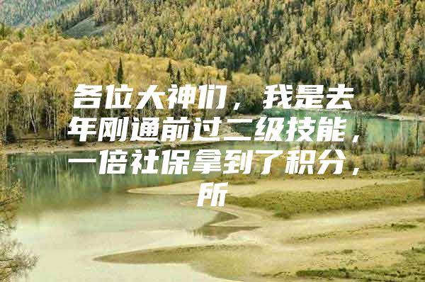 各位大神们，我是去年刚通前过二级技能，一倍社保拿到了积分，所