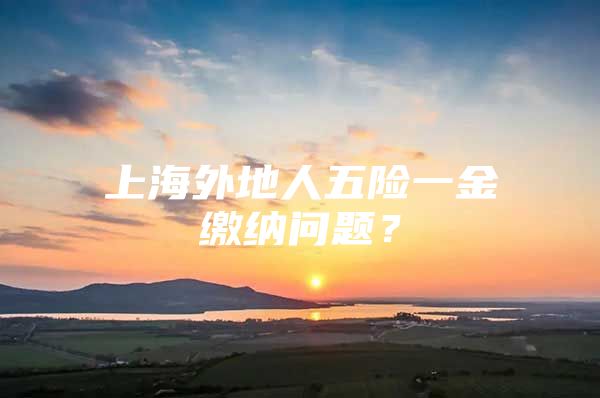 上海外地人五险一金缴纳问题？