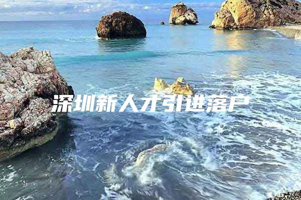深圳新人才引进落户