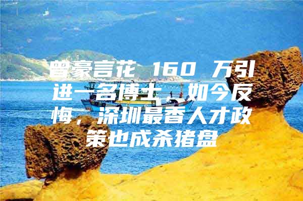 曾豪言花 160 万引进一名博士，如今反悔，深圳最香人才政策也成杀猪盘
