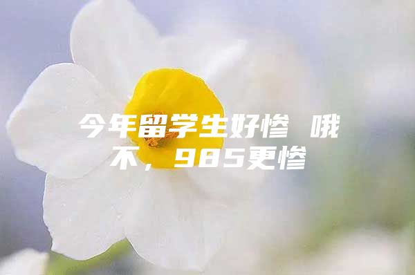 今年留学生好惨 哦不，985更惨
