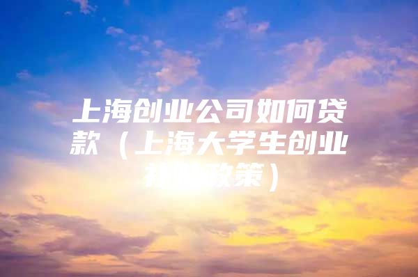 上海创业公司如何贷款（上海大学生创业补贴政策）
