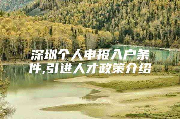 深圳个人申报入户条件,引进人才政策介绍