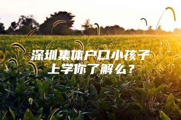 深圳集体户口小孩子上学你了解么？