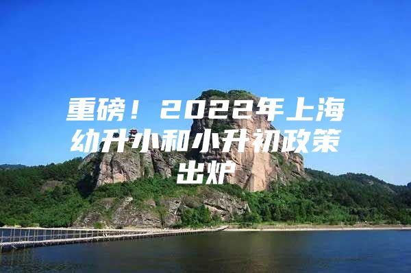 重磅！2022年上海幼升小和小升初政策出炉