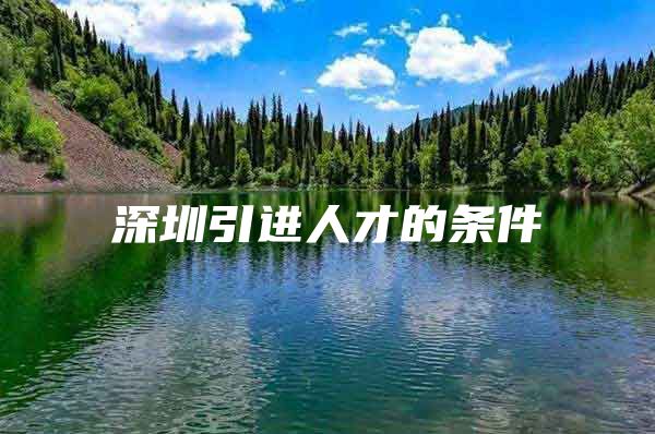 深圳引进人才的条件