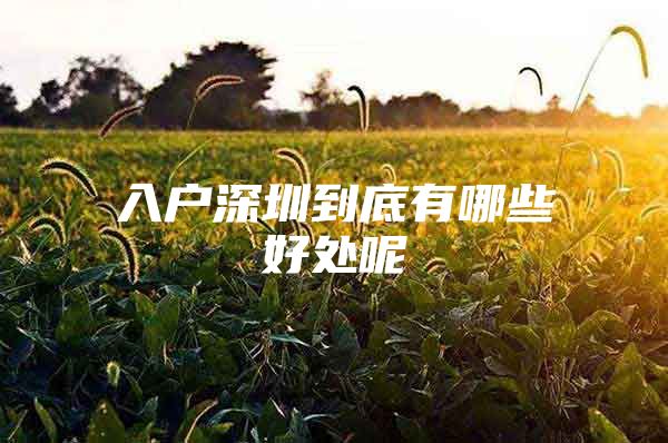 入户深圳到底有哪些好处呢