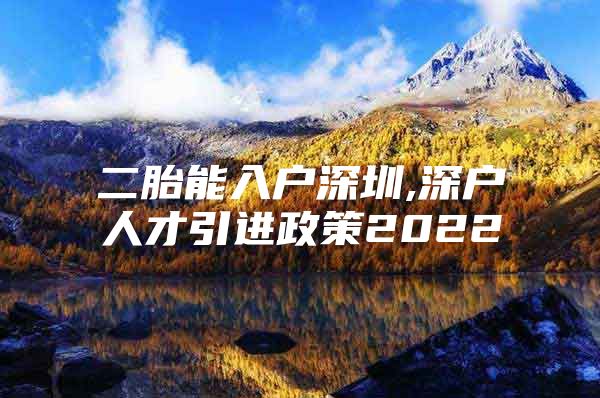 二胎能入户深圳,深户人才引进政策2022