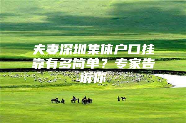 夫妻深圳集体户口挂靠有多简单？专家告诉你