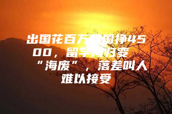 出国花百万回国挣4500，留学海归变“海废”，落差叫人难以接受