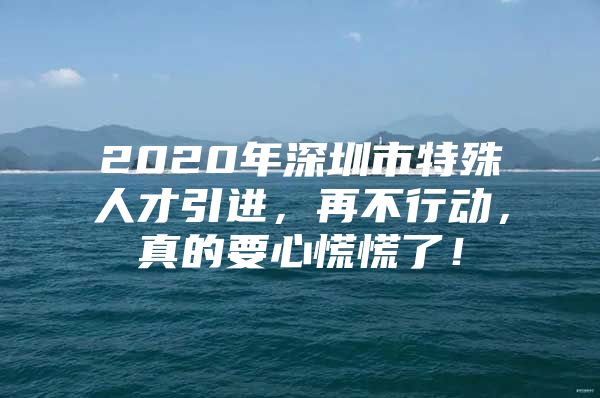 2020年深圳市特殊人才引进，再不行动，真的要心慌慌了！
