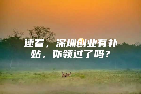 速看，深圳创业有补贴，你领过了吗？