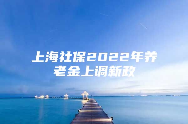 上海社保2022年养老金上调新政