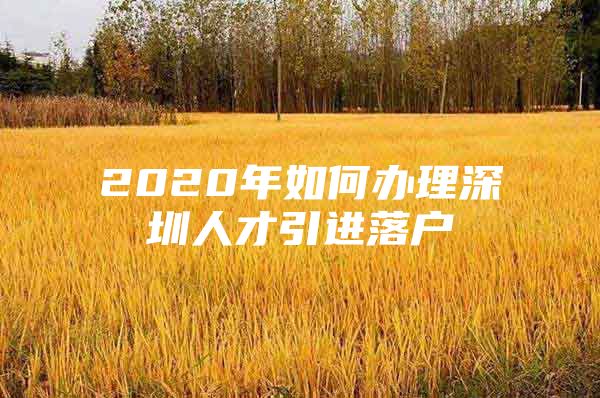 2020年如何办理深圳人才引进落户