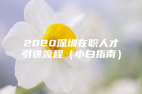 2020深圳在职人才引进流程（小白指南）