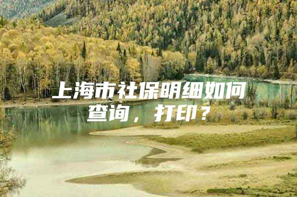 上海市社保明细如何查询，打印？