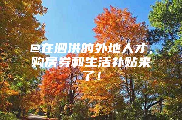 @在泗洪的外地人才，购房券和生活补贴来了！