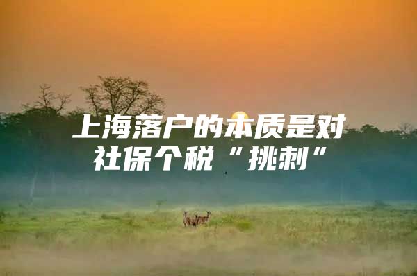 上海落户的本质是对社保个税“挑刺”