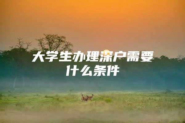 大学生办理深户需要什么条件