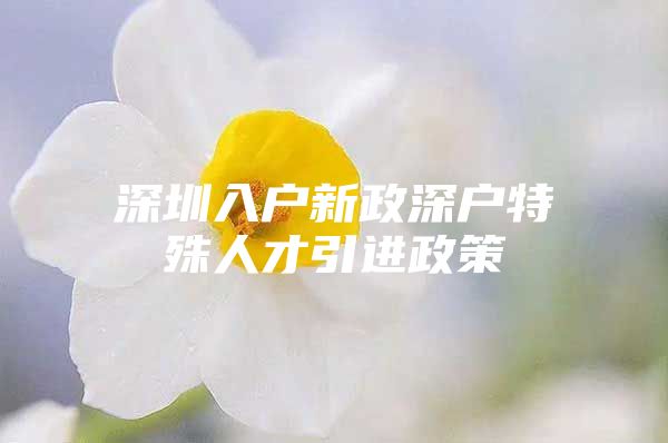 深圳入户新政深户特殊人才引进政策